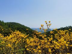 -广州白江湖森林公园