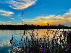 -美兰湖景区