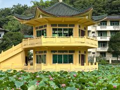 -地心探险极地