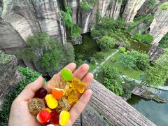 -广州莲花山旅游区
