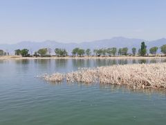 -野鸭湖国家湿地公园