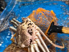 -盒马鲜生(曜一城店)