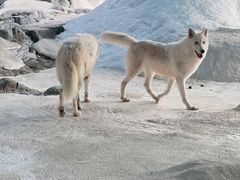 -珠海长隆海洋王国