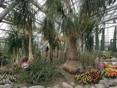 -南山植物园