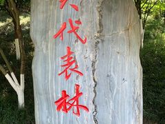 -龙头寺公园