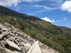 -朱雀国家森林公园