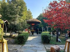 -观唐（国际）度假村温泉