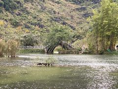 -靖西鹅泉风景区