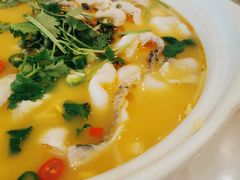-蜀腾川·火锅鱼.烤鱼(新世界城店)