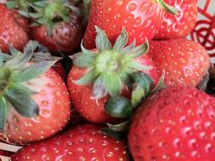 -甜心庄园·甜心草莓采摘园(西青中北店)