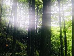 -龙窝子