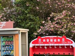 -同里国家湿地公园
