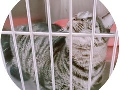 -宠颐生贝利健动物医院(谢家湾分院)