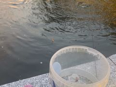 -DGE季风钓虾营地·团建·聚会