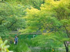 -上海共青森林公园