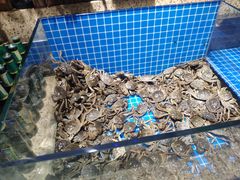 -和谐号(全运路万达店)