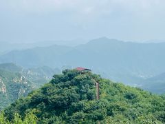 -大岭沟猕猴桃谷风景区