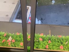 -宝荣鱼馆·临湖之宴(千岛湖店)