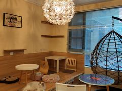 -滚猫咖啡·猫咖·猫友好撸猫(未来城店)