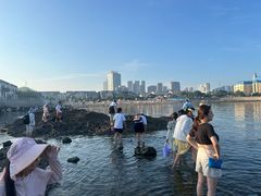 -黑石礁公园
