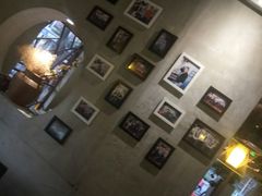 -探窝·竹笙椰子鸡(杨箕店)