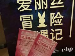 -爱丽丝冒险奇遇记