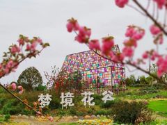 -紫颐香薰山谷景区