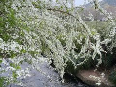 -中国茶叶博物馆(双峰馆区)