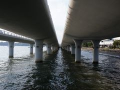 -演武大桥观景平台