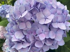 -漕溪路(地铁站)