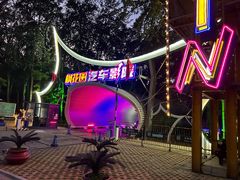 -枫花园汽车电影院(朝阳公园店)