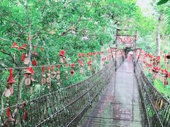 -呀诺达热带雨林