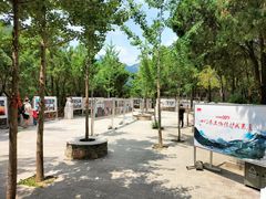-四门塔风景区