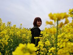 -灵山景区梯田