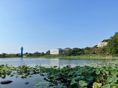-海天湖公园