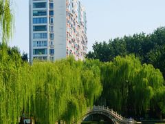 -达活泉公园