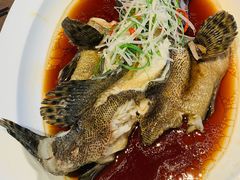清蒸石斑鱼-香港财记(汇励99城市公园店)