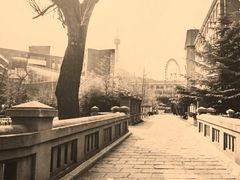 -大连市第二十四中学