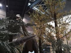 -湖南省地质博物馆