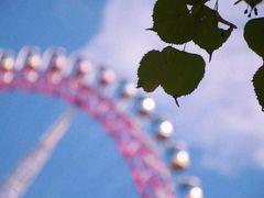 -哈尔滨文化公园