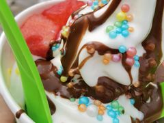 -Salud撒露欧洲冻酸奶(蓝色港湾店)