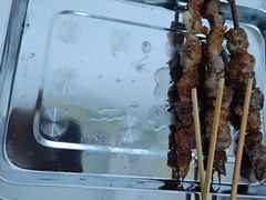 -民族烤羊·烤羊肉串·烤羊排(南城店)