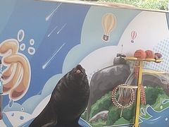 -厦门海底世界