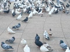 -大连人民广场