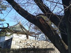 -名古屋城