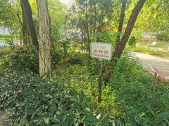 -广东中医药博物馆