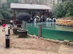 -忆江南·临江鱼馆