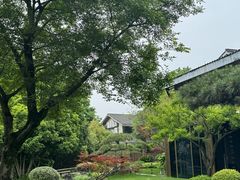 -新荣记(西溪湿地店)