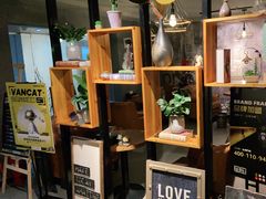 -梵猫·新养生(福州万象城店)
