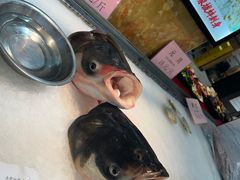 -联邦酒楼